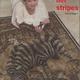 Story about the zebra | | | Story about the zebra