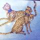 Cheetas, Private Commission