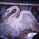 CYGNUS by Marjorie Knowles…