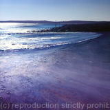 'The Glorious Sandbanks' - Oil~Ink on Card