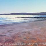 'Shining Light Sandbanks' - Oil~Ink on Card