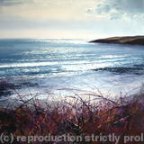 'Killigeran Head' - Oil~Ink on board