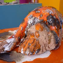 little orange