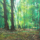 Trees are our best Antiques - Acrylic and Collage on Deep Canvas