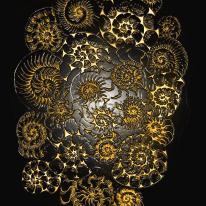 ammonites gold