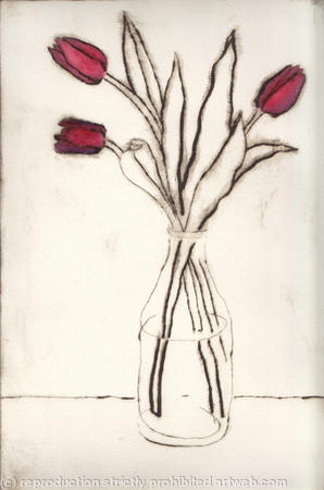 tulipa