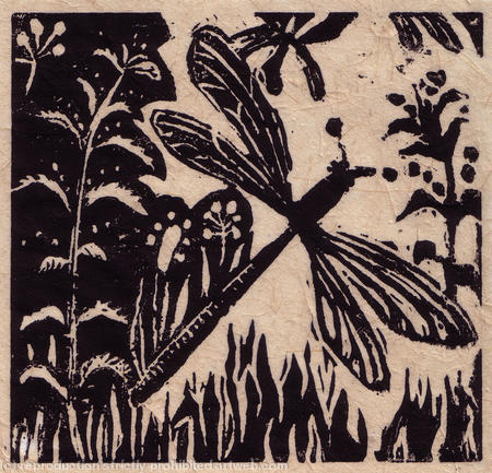 dragon fly