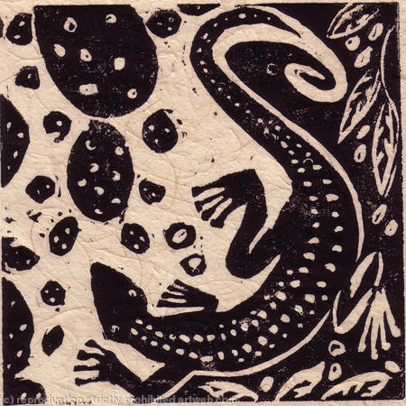 lizard