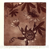 passionflower - etching