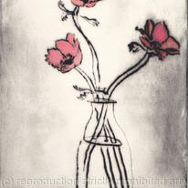 anemones 