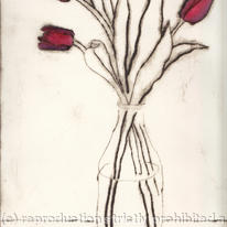 tulipa