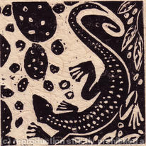 lizard
