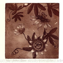 passionflower