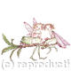 fairies