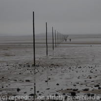 Lindisfarne Walkers