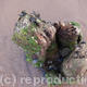 On the Beach | | | Photograph On the Beach