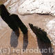 Shadows | | | Photograph Shadows