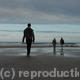 A Walk to the Sea