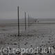 Lindisfarne Walkers
