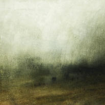 Sparse Land