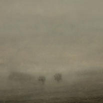 Singular Landscape