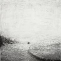 Study 24