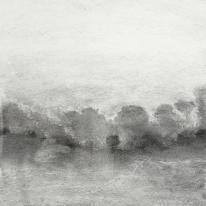 Study 29