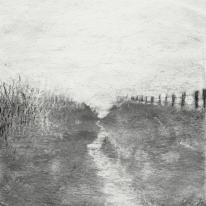 Study 30