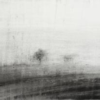 Study 31