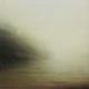 Small Copse