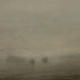 Singular Landscape