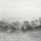 Study 29