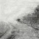 Study 33
