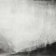 Study 35