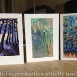 Set of three blank a5 cards - 