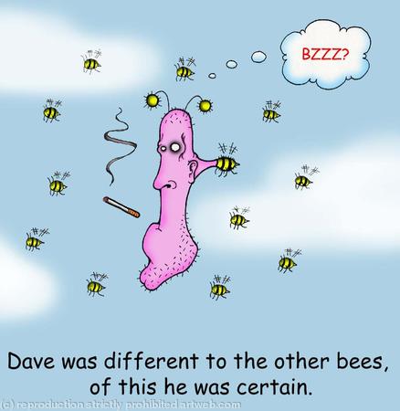 Beez