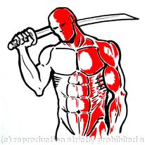 Anatomy
