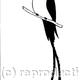 Doctorbird Services…