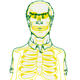 X-ray