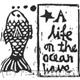 All the nice girls love…