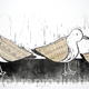 Songbirds