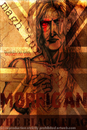 Black Flag Cover