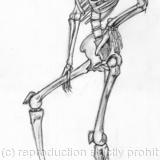 Life 2 - Pencils on cartridge paper