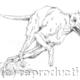 A Hare's Tale: Greyhound