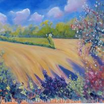Field view beaconsfield