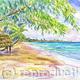 Hammock on beach