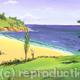 Devon beach