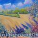 Field view beaconsfield