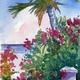 Bougainvillea and a…