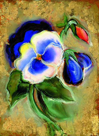 Pansy